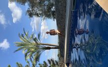 Photo submitted by guest of Son Real