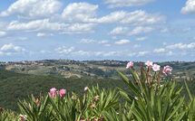 Photo submitted by guest of Fattoria di Quercia al Poggio