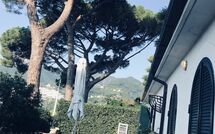 Photo submitted by guest of Casa Sorvillo