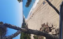Photo submitted by guest of Miami Platja 496