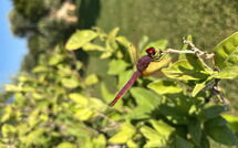 Photo submitted by guest of Villa Gemapirò