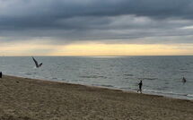 Photo submitted by guest of Bredene 482