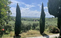 Photo submitted by guest of Il Leccio