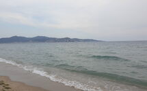 Photo submitted by guest of Empuriabrava 476