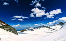 Photo submitted by guest of Wengen 66