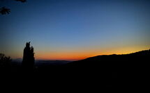 Photo submitted by guest of Casa Caldesi