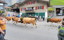 Photo submitted by guest of Lauterbrunnen 101