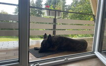 Photo submitted by guest of Ferienhäusle Nina