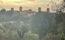 Photo submitted by guest of Can Pedro