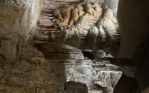 Photo submitted by guest of Can Pedro