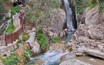 Photo submitted by guest of Residencial Roma