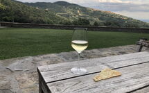 Photo submitted by guest of Tenuta Pomona