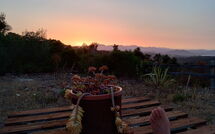 Photo submitted by guest of Appartamento Comino Sole Sea View