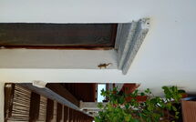 Photo submitted by guest of Appartamento Comino Sole Sea View