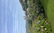 Photo submitted by guest of Da Boa Fonte