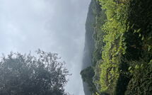 Photo submitted by guest of Da Boa Fonte