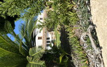 Photo submitted by guest of Villa Finca Labranza