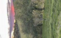 Photo submitted by guest of Sole nel Prato