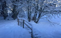 Photo submitted by guest of Chalet 969