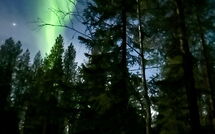 Photo submitted by guest of Harvana