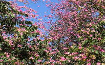 Photo submitted by guest of Torremolinos 27