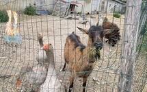 Photo submitted by guest of Bon Port