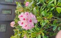 Photo submitted by guest of Erika