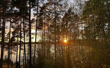 Photo submitted by guest of Metsä-Iivari