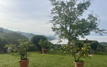 Photo submitted by guest of Villa Flora