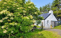 Photo submitted by guest of The Cottage