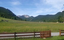 Photo submitted by guest of Chalet Bodental 28