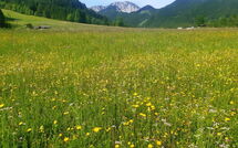 Photo submitted by guest of Chalet Bodental 28
