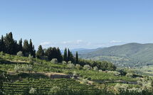 Photo submitted by guest of Greve in Chianti 651