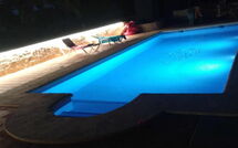 Photo submitted by guest of Berdica