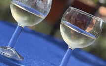 Photo submitted by guest of Ca di Maestro