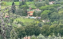 Photo submitted by guest of Costacce