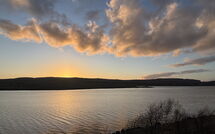 Photo submitted by guest of Daisy Cottage