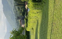 Photo submitted by guest of Verde Versilia