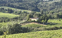 Photo submitted by guest of Villa Magna + Dependance
