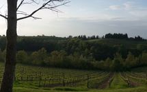 Photo submitted by guest of Borgo Tollena