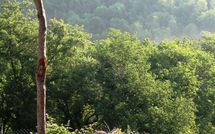 Photo submitted by guest of Fattoria Buonconvento