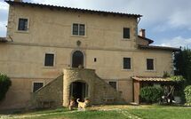 Photo submitted by guest of Charming Estate Decimo Dini