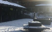Photo submitted by guest of Toule