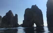 Photo submitted by guest of Cantone Bay