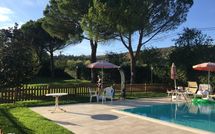 Photo submitted by guest of Colonica al Trasimeno