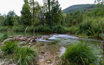 Photo submitted by guest of Krizmanić