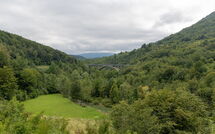Photo submitted by guest of Krizmanić