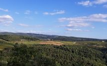 Photo submitted by guest of Fattoria di Quercia al Poggio