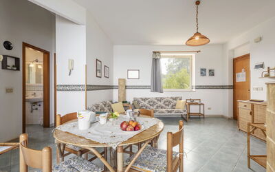Accommodation:&nbsp;Cicladi Naxos 100.5