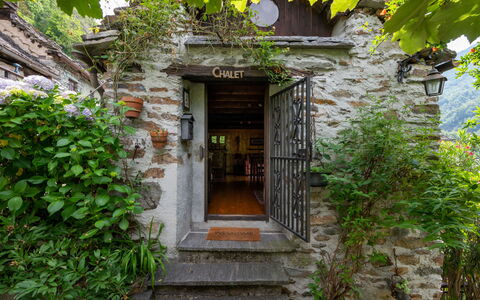 Il Gianlupo: Plant, Property, Wood, Architecture, Vegetation, Biome, Door, Wall, Building